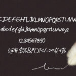 Binzo Font Poster 2