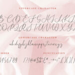 Birallina Font Poster 3