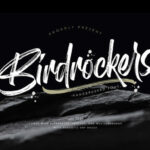 Birdrockers Font Poster 1