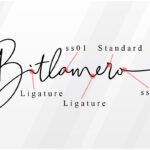 Bitlamero Script Font Poster 23