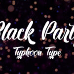 Black Party Font Poster 1