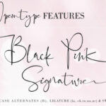 Black Pink Family Font Poster 4