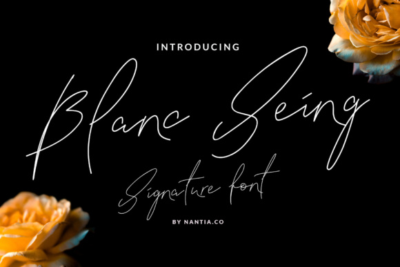 Blanc Seing Font Poster 1