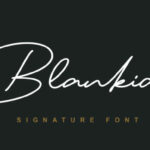 Blankid Font Poster 1