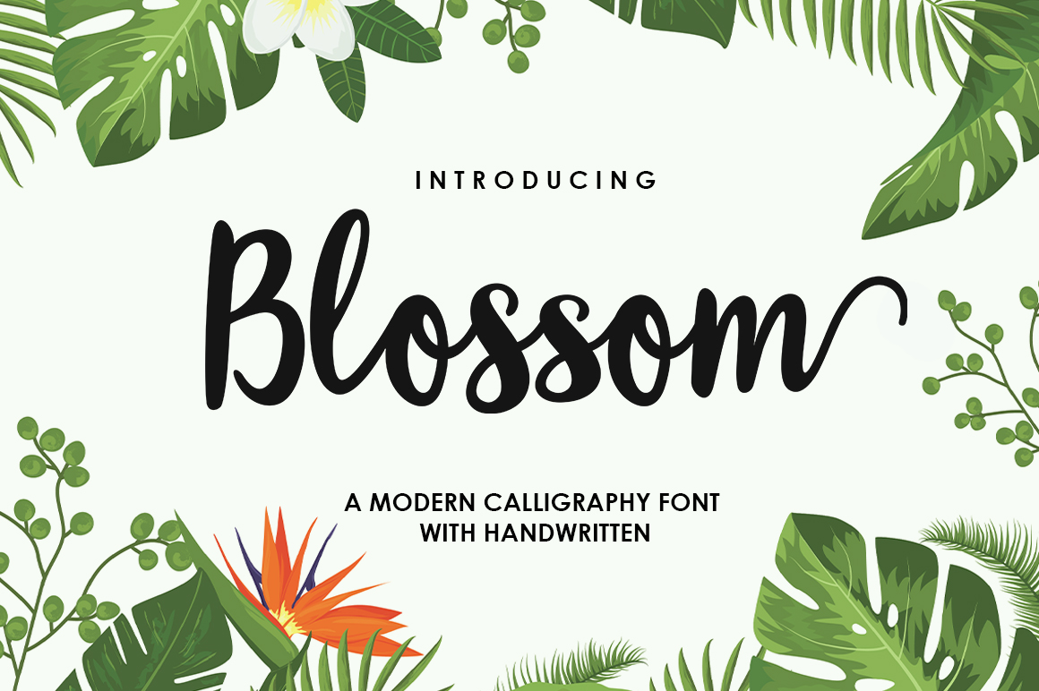 Blossom Script Font