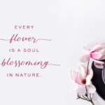 Blossomberry Font Poster 2