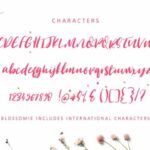 Blossomie Font Poster 2