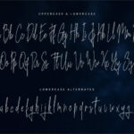 Blue Indigo Font Poster 5