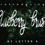 Blueberry Brush Font Poster 1