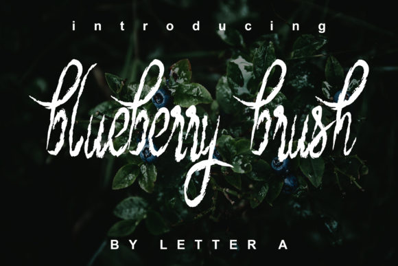 Blueberry Brush Font Poster 1