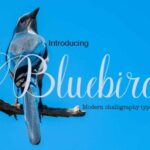 Bluebird Font Poster 1