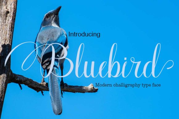 Bluebird Font Poster 1