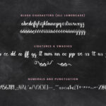 Blush & Bliss Font Poster 5