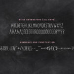 Blush & Bliss Font Poster 6