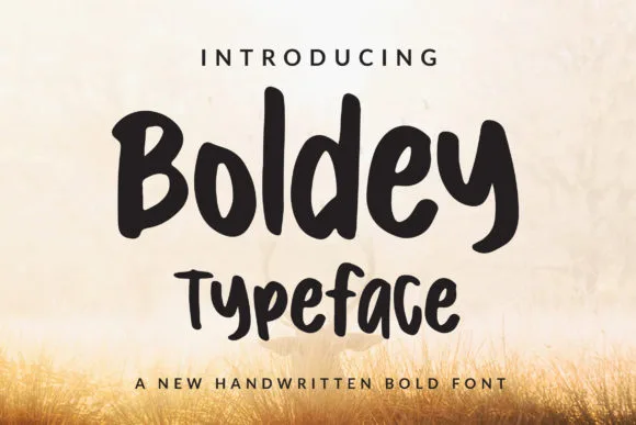 Boldey Font Boldey Font Poster 1