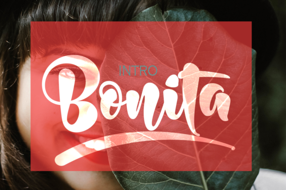 Bonita Font Poster 1