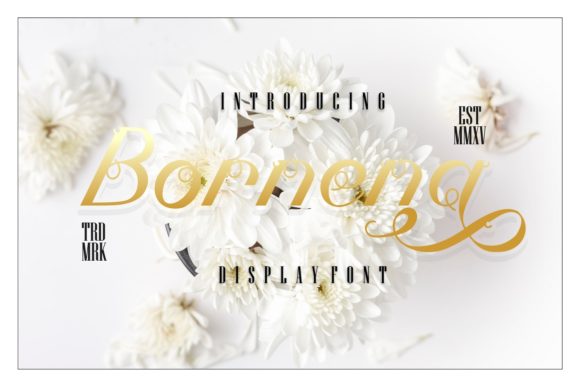 Bornena Font Poster 1