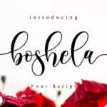 Boshela Script Font Poster 1