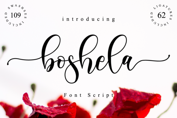 Boshela Script Font
