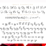 Boshela Script Font Poster 11