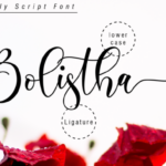 Boshela Script Font Poster 10