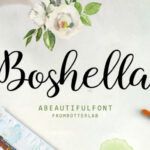 Boshella Script Font Poster 1
