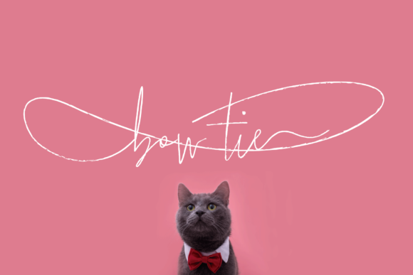 Bow Tie Font