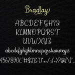 Bradlay Font Poster 8