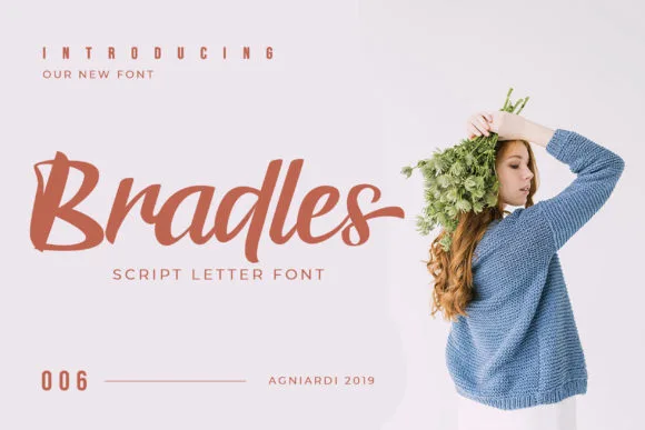 Bradles Font Bradles Font Poster 1