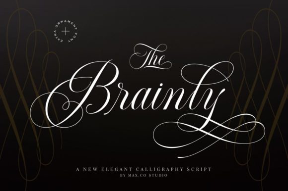 Brainly Font Poster 1