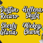 Brayles Font Poster 4