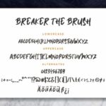 Breaker the Brush Font Poster 7