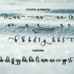 Breathaking Script Font Poster 3