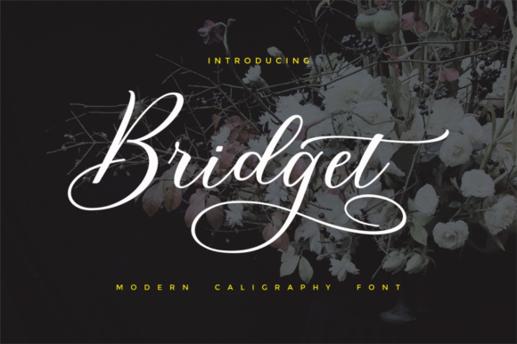 Bridget Script Font Poster 1