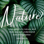 Brightish Font Poster 4