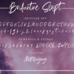 Briliantine Script Font Poster 22