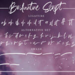 Briliantine Script Font Poster 23