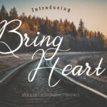 Bring Heart Font Poster 1