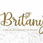 Britany Script Font Poster 1