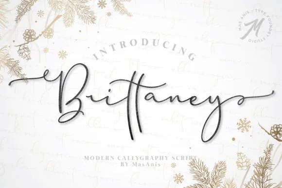 Brittaney Font Brittaney Font Poster 1