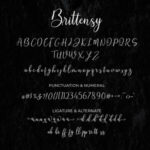 Brittensy Font Poster 11