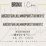 Bronx Simpul Duo Font Poster 11