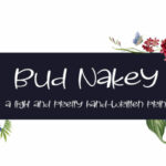 Bud Nakey Font Poster 1