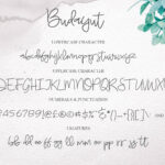 Budayut Font Poster 8