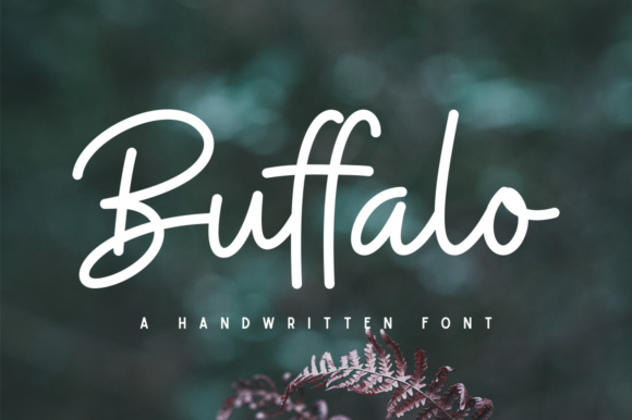 Buffalo Font Poster 1