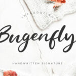 Bugenfly Font Poster 1