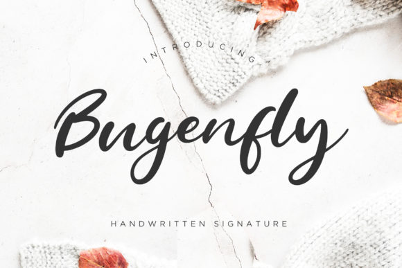 Bugenfly Font Poster 1
