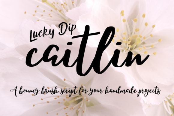 Caitlin Script Font Poster 1