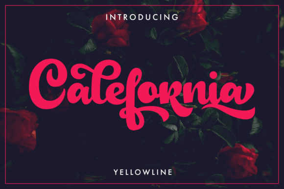 Calefornia Script Font Poster 1