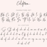California Street Font Poster 13